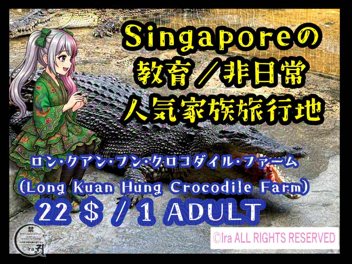 ロン・クアン・フン・クロコダイル・ファーム（Long Kuan Hung Crocodile Farm）」シンガポール(singapore)体験・金額・レビュー記事。まはらじまのキャラクターhanaがワニを見ている。：シンガポール永住権・知財の修士号をもつ、国際離島漫画家Ira(アイラ)。『まはらじま(MAHARAJIMA)』公式サイト
